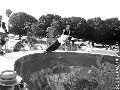 Wa bowl jam