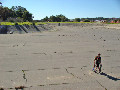 the pit
