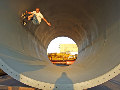 Rocco in the barrel